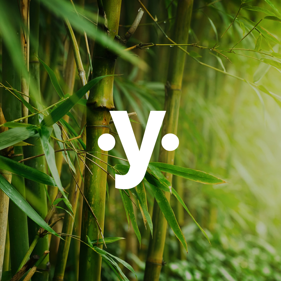 Módulo Bamboo - Reencontro Yoga Online
